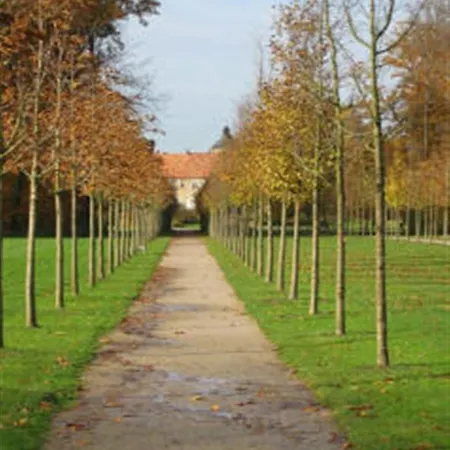 Zur Lindenwirtin 2*